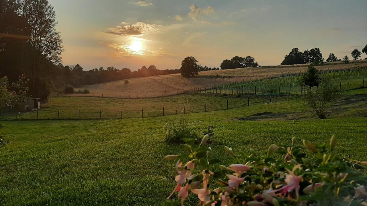 Agroturystyka Kruk Mirsk Exterior foto